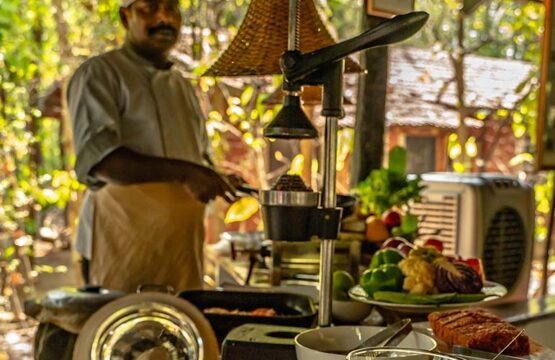 kanha-jungle-lodge13-1.jpg