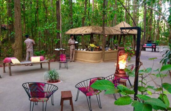 kanha-jungle-lodge13.jpg