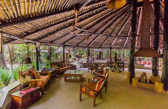 kanha-jungle-lodge14-1.jpg