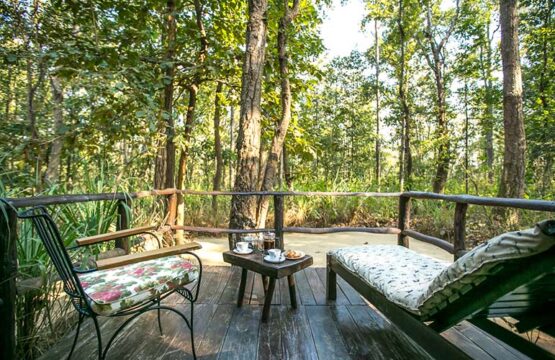 kanha-jungle-lodge14.jpg