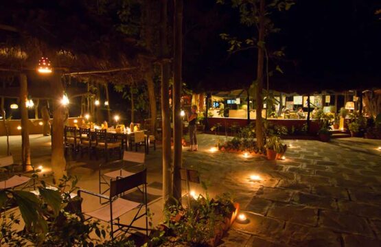 kanha-jungle-lodge15-1.jpg
