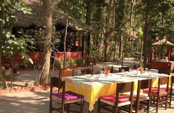 kanha-jungle-lodge15-2.jpg