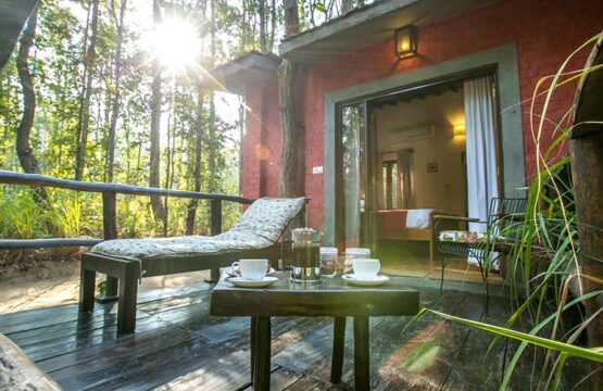 kanha-jungle-lodge17.jpg