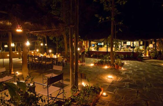 kanha-jungle-lodge2-2.jpg