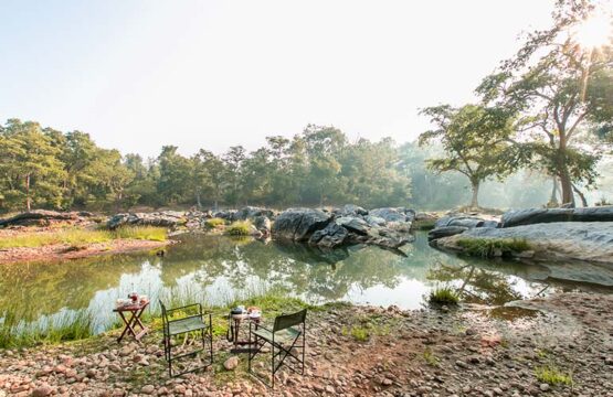 kanha-jungle-lodge3-4.jpg