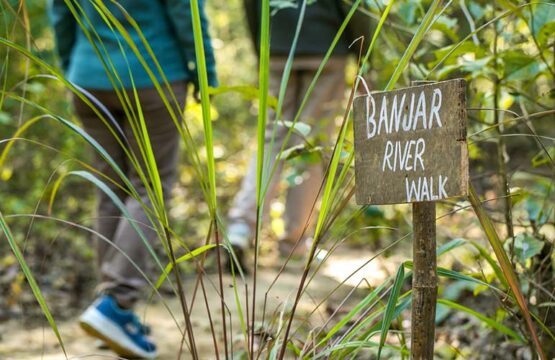 kanha-jungle-lodge4-4.jpg