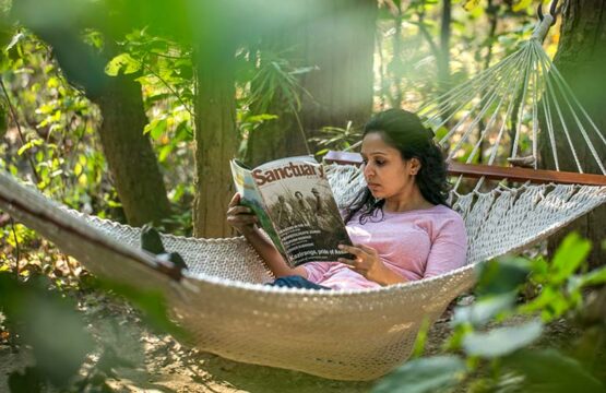 kanha-jungle-lodge5-2.jpg