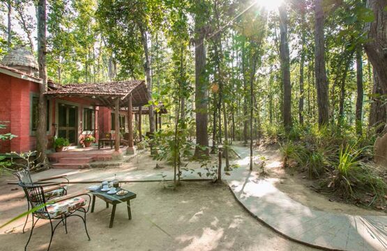 kanha-jungle-lodge5-4.jpg