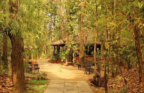 kanha-jungle-lodge6-4.jpg