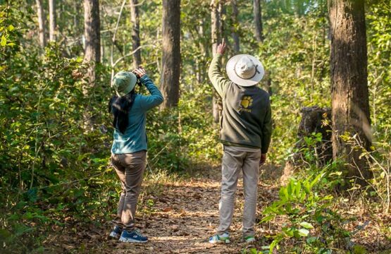 kanha-jungle-lodge8-2.jpg