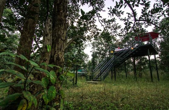 pench-jungle-camp1-4.jpg