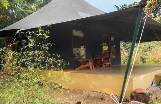 pench-jungle-camp10.jpg