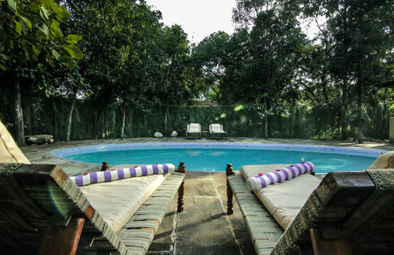 pench-jungle-camp11-1.jpg