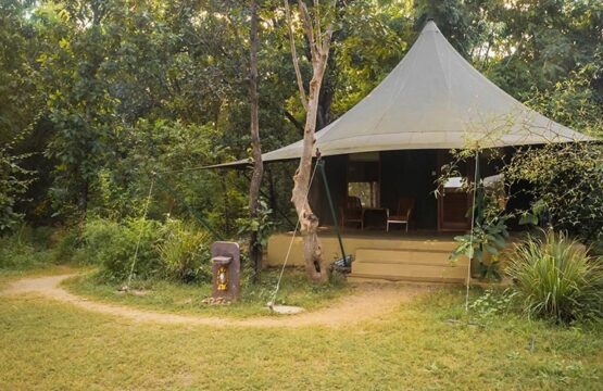 pench-jungle-camp11.jpg