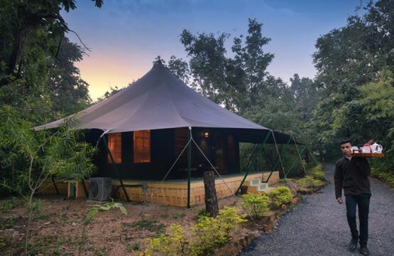 pench-jungle-camp13.jpg