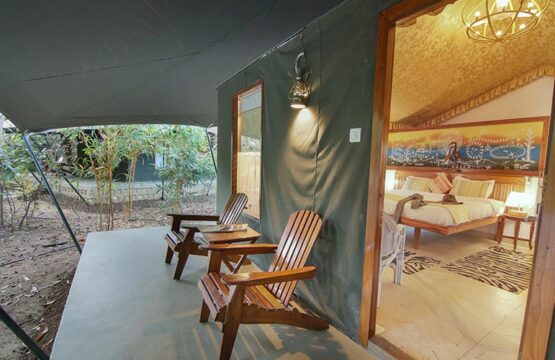 pench-jungle-camp17.jpg