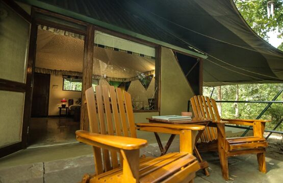 pench-jungle-camp2-1.jpg