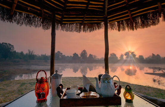 pench-jungle-camp2-3.jpg