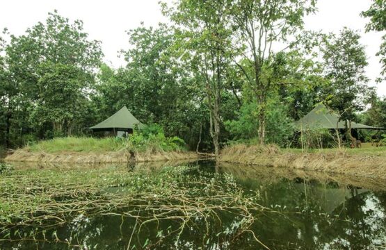 pench-jungle-camp2-4.jpg