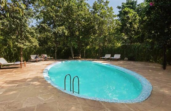 pench-jungle-camp3-3.jpg