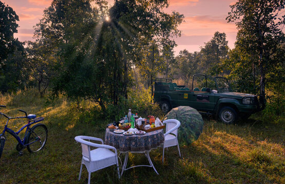 pench-jungle-camp4-2.jpg