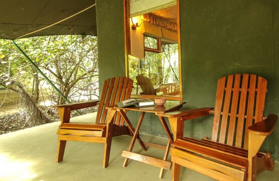 pench-jungle-camp6-1.jpg