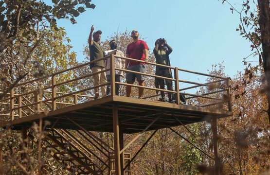 pench-jungle-camp8-2.jpg