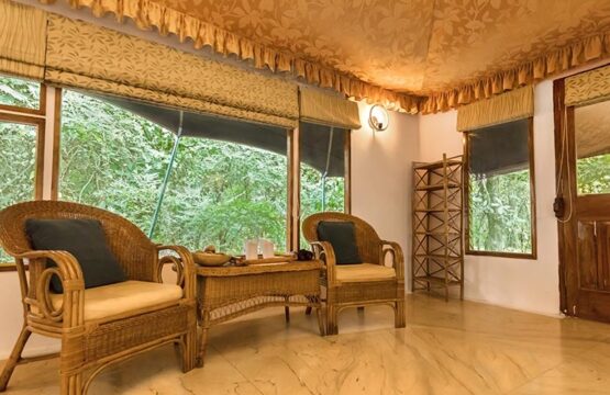 pench-jungle-camp9.jpg