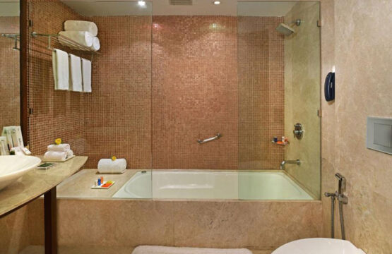 radisson-jass-khajuraho6-1.jpg