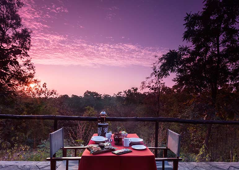 reni-peni-jungle-lodge-1.jpg