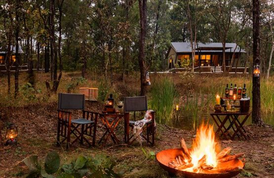 reni-peni-jungle-lodge1-3.jpg