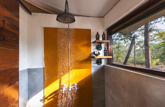reni-peni-jungle-lodge1.jpg