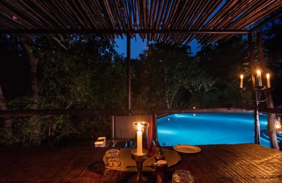 reni-peni-jungle-lodge11-1.jpg