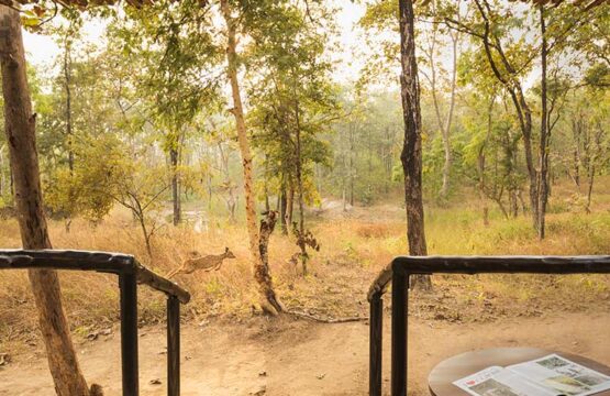 reni-peni-jungle-lodge11-2.jpg