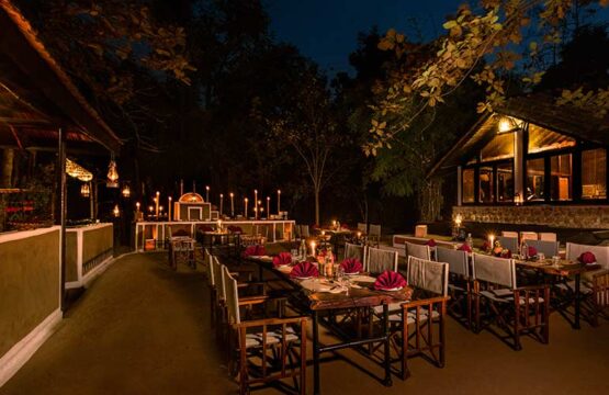 reni-peni-jungle-lodge12.jpg