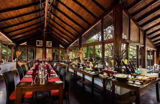 reni-peni-jungle-lodge13.jpg