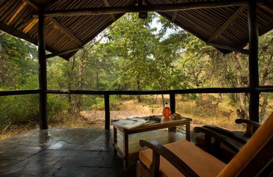 reni-peni-jungle-lodge18.jpg