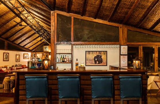 reni-peni-jungle-lodge2-2.jpg
