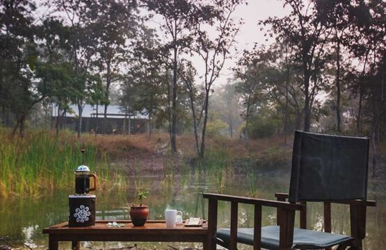 reni-peni-jungle-lodge2-4.jpg