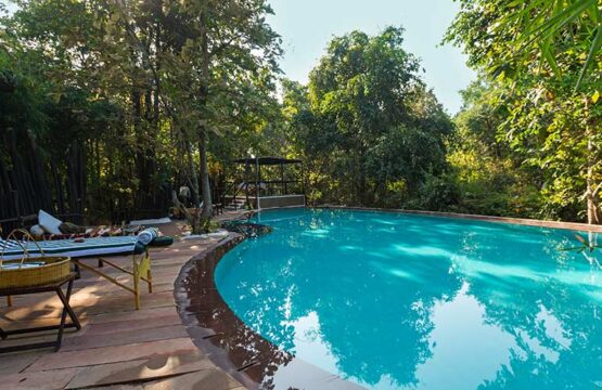 reni-peni-jungle-lodge21.jpg