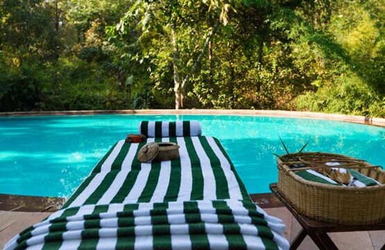 reni-peni-jungle-lodge22.jpg
