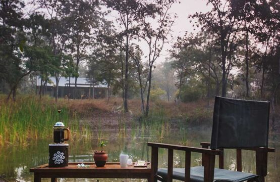 reni-peni-jungle-lodge3-2.jpg