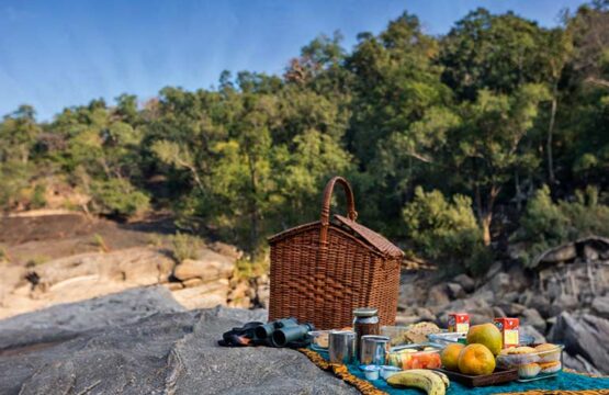 reni-peni-jungle-lodge3-3.jpg