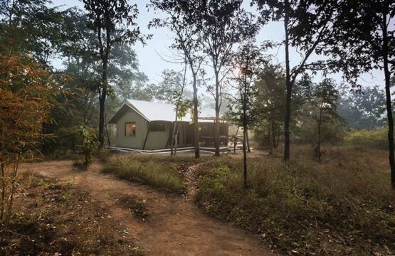 reni-peni-jungle-lodge3-4.jpg