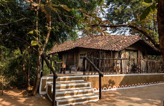 reni-peni-jungle-lodge4-2.jpg