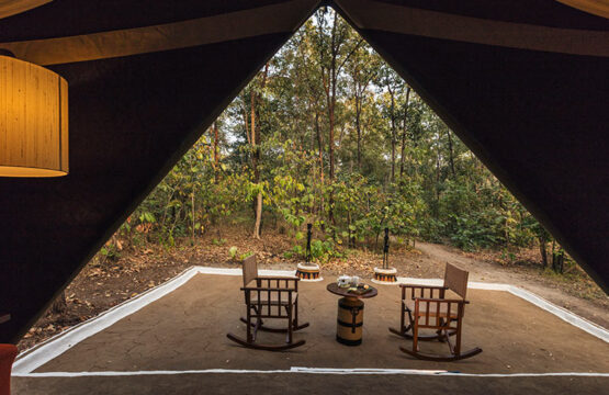 reni-peni-jungle-lodge6-1.jpg