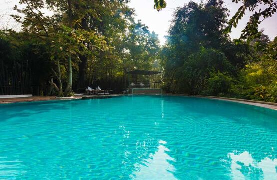 reni-peni-jungle-lodge6-2.jpg