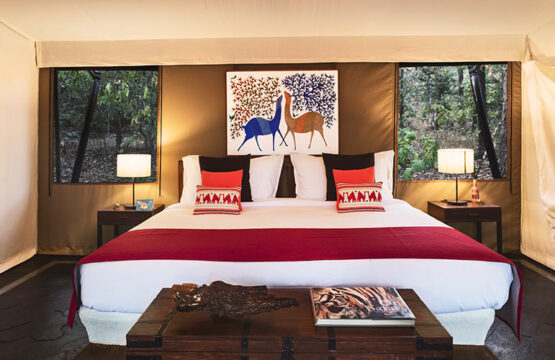 reni-peni-jungle-lodge7-1.jpg