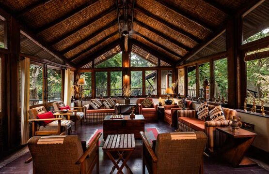 reni-peni-jungle-lodge7-2.jpg