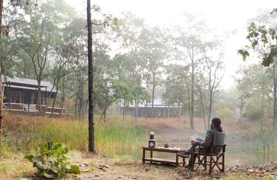 reni-peni-jungle-lodge9-1.jpg